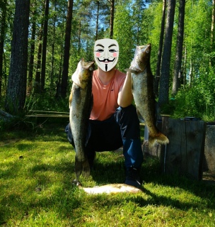 Kuha 2,90 kg