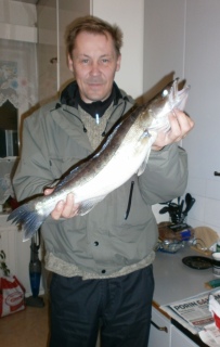Kuha 2,20 kg