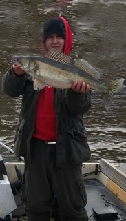 Kuha 4,30 kg