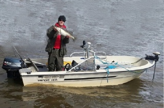 Kuha 3,00 kg