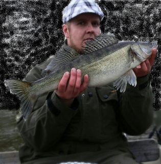 Kuha 2,75 kg