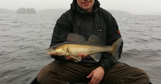Kuha 750 g