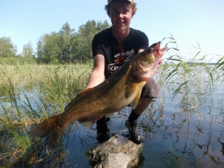 Kuha 4,20 kg