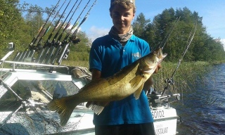Kuha 3,10 kg