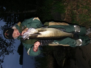 Kuha 3,41 kg