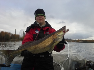 Kuha 4,10 kg