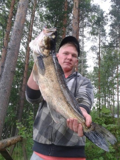 Kuha 3,98 kg
