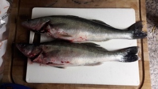Kuha 1,00 kg