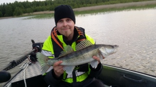 Kuha 1,97 kg
