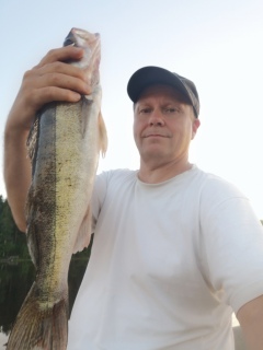 Kuha 1,39 kg