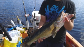 Kuha 2,22 kg
