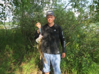 Kuha 2,25 kg