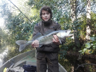Kuha 3,74 kg