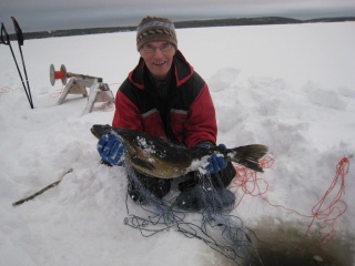 Kuha 5,15 kg