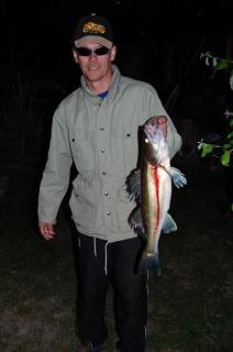 Kuha 2,11 kg