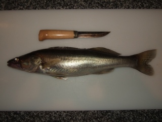 Kuha 650 g
