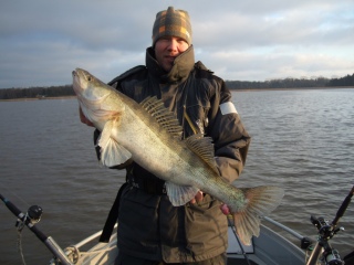 Kuha 4,50 kg