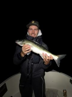 Kuha 1,60 kg