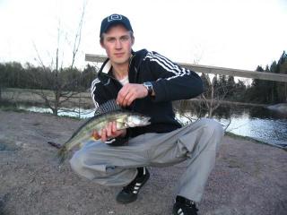 Kuha 1,50 kg