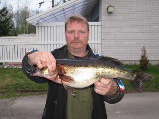 Kuha 1,86 kg