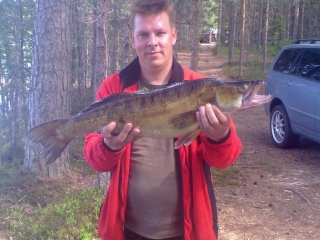 Kuha 4,56 kg