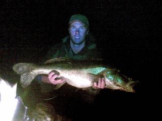 Kuha 6,60 kg