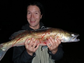 Kuha 3,20 kg