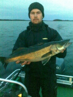 Kuha 2,35 kg