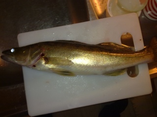 Kuha 500 g