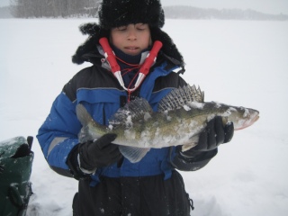 Kuha 1,10 kg