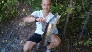 Kuha 2,54 kg