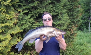 Kuha 4,50 kg