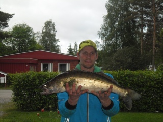 Kuha 3,25 kg