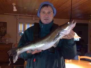Kuha 2,27 kg