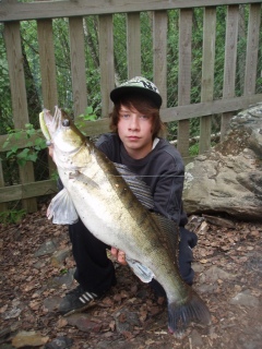 Kuha 3,54 kg