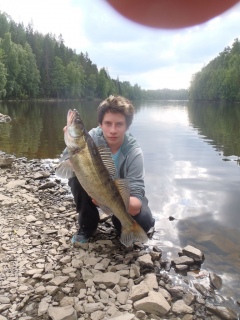 Kuha 3,11 kg