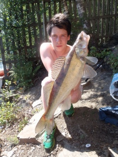 Kuha 2,20 kg