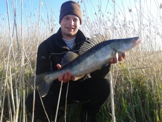 Kuha 3,74 kg