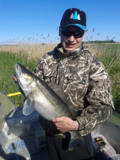 Kuha 3,70 kg