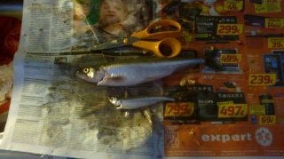 Kuore 200 g