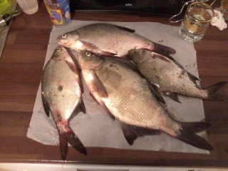 Lahna 1,20 kg