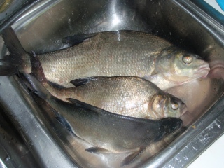Lahna 2,00 kg