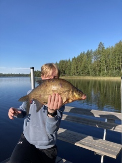 Lahna 2,30 kg