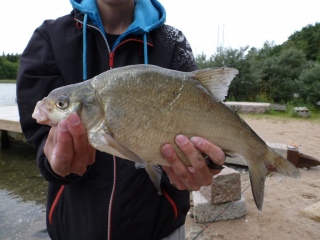 Lahna 780 g