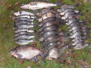 Lahna 20,00 kg