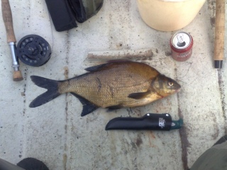 Lahna 1,35 kg