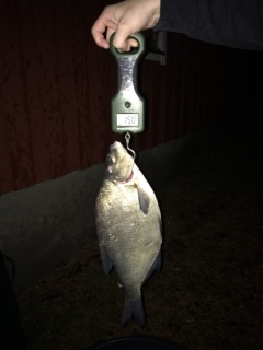 Lahna 1,50 kg