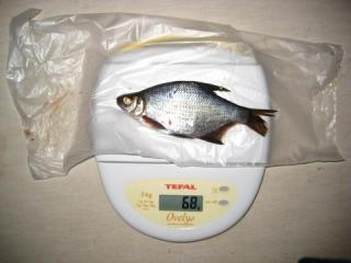 Pasuri 68 g