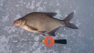 Lahna 905 g