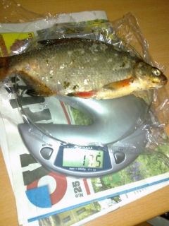 Pasuri 175 g